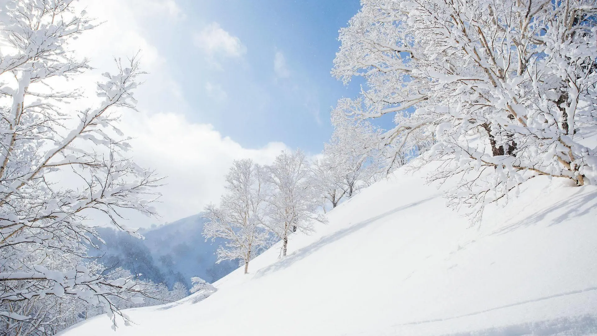 Popcorn Lodge Niseko Couette-café